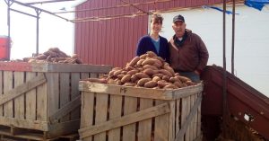 Organic Sweet Potatoes Oklahoma